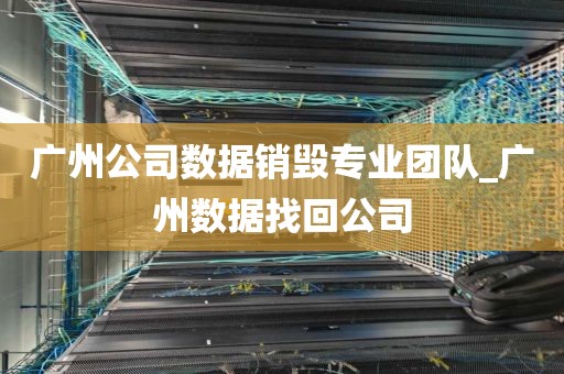 广州公司数据销毁专业团队_广州数据找回公司