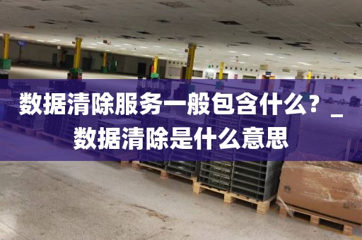 数据清除服务一般包含什么？_数据清除是什么意思