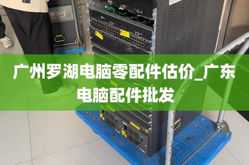 广州罗湖电脑零配件估价_广东电脑配件批发