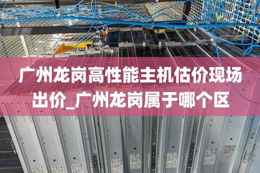 广州龙岗高性能主机估价现场出价_广州龙岗属于哪个区