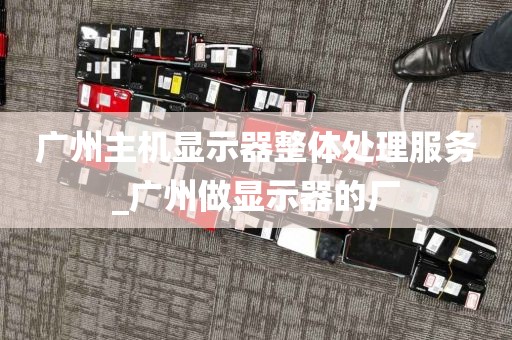广州主机显示器整体处理服务_广州做显示器的厂
